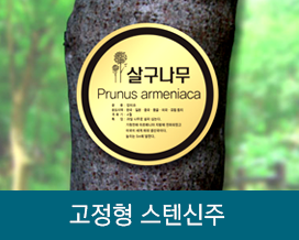 고정형 스텐신주